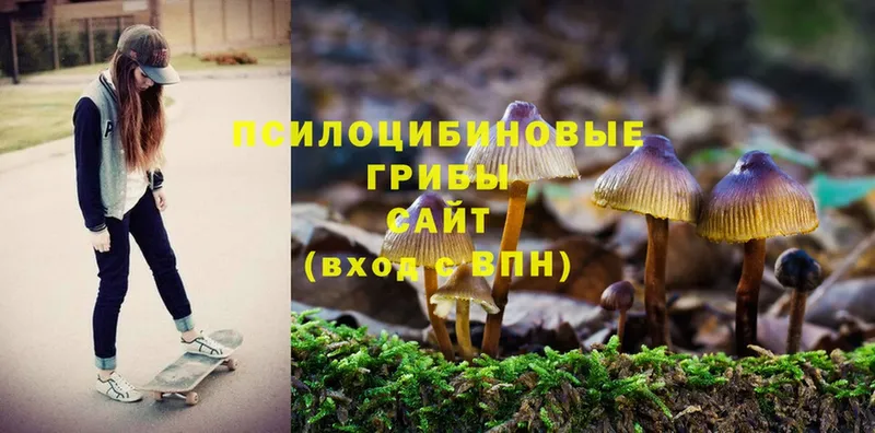 Псилоцибиновые грибы MAGIC MUSHROOMS  Сарапул 